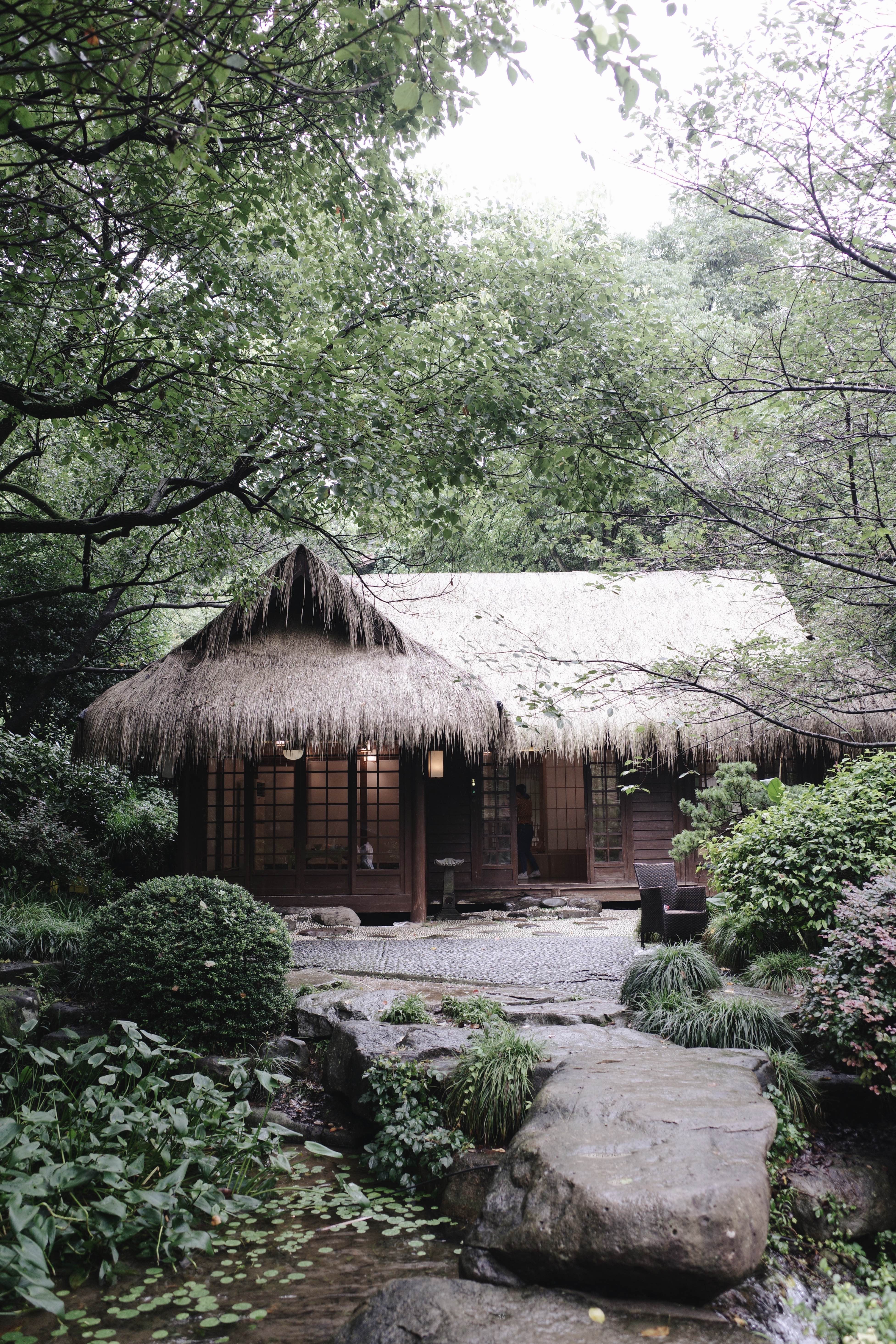 茶叶博物馆里的小京都,是曾躲过雨的屋檐.