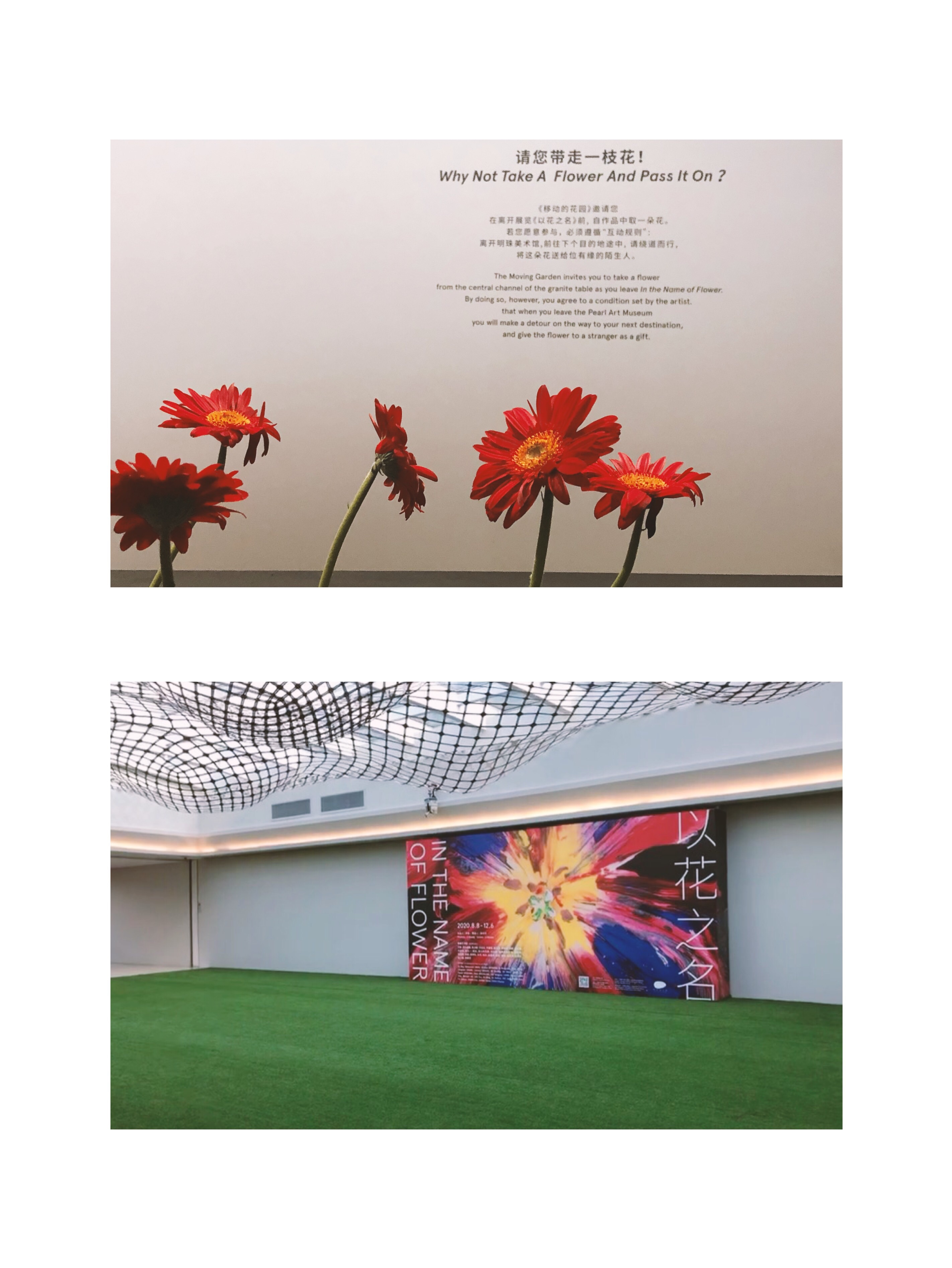 上海好去处 pearl art museum 艺术点亮生活 mars 探索新鲜城事