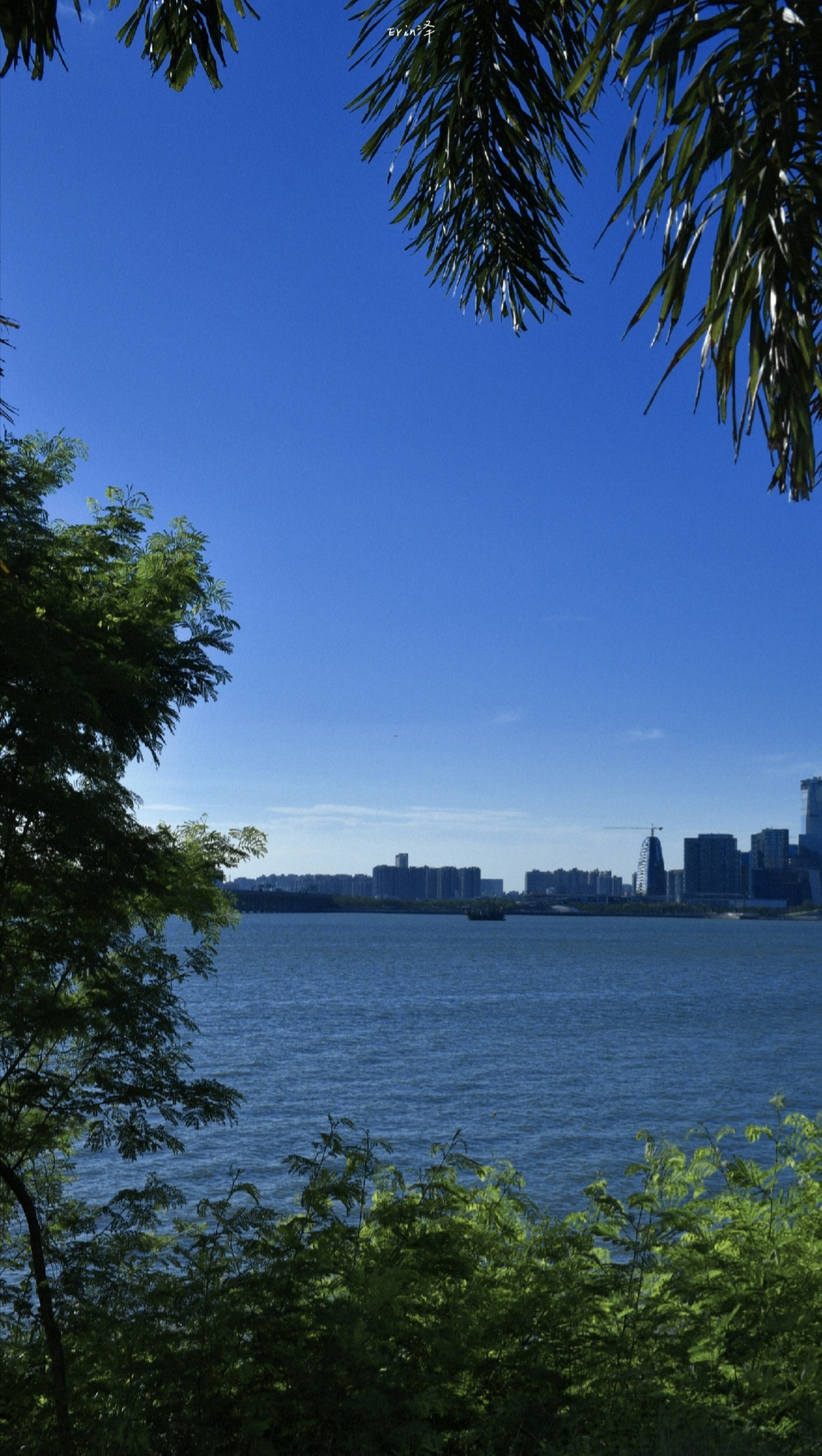 深圳前海石公園碧海藍天壁紙攝影集獨自一人